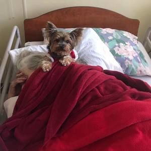 Meet your Posher, Diane